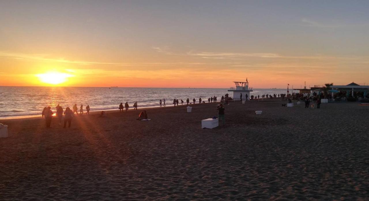 From Ostia Beach To Rome & Airport In A Heartbeat! ภายนอก รูปภาพ